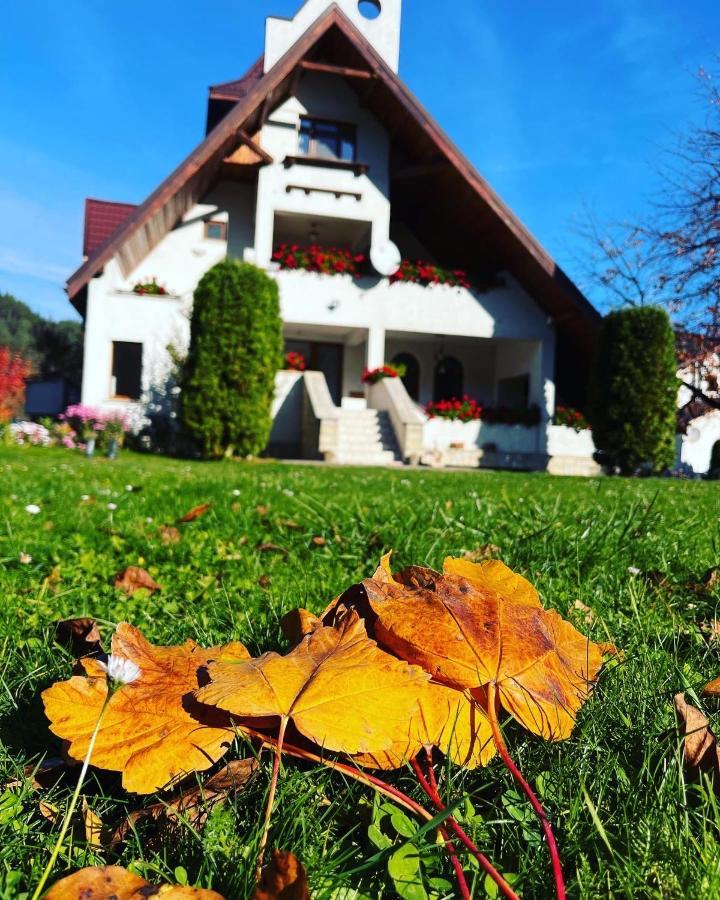 Bed and Breakfast Castelul De Smarald Pangaracior Exterior foto